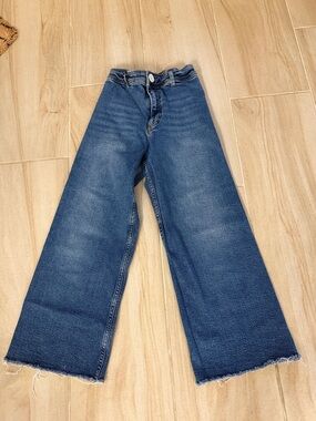 Zara Wide-Leg Flare Jeans in Dark Blue